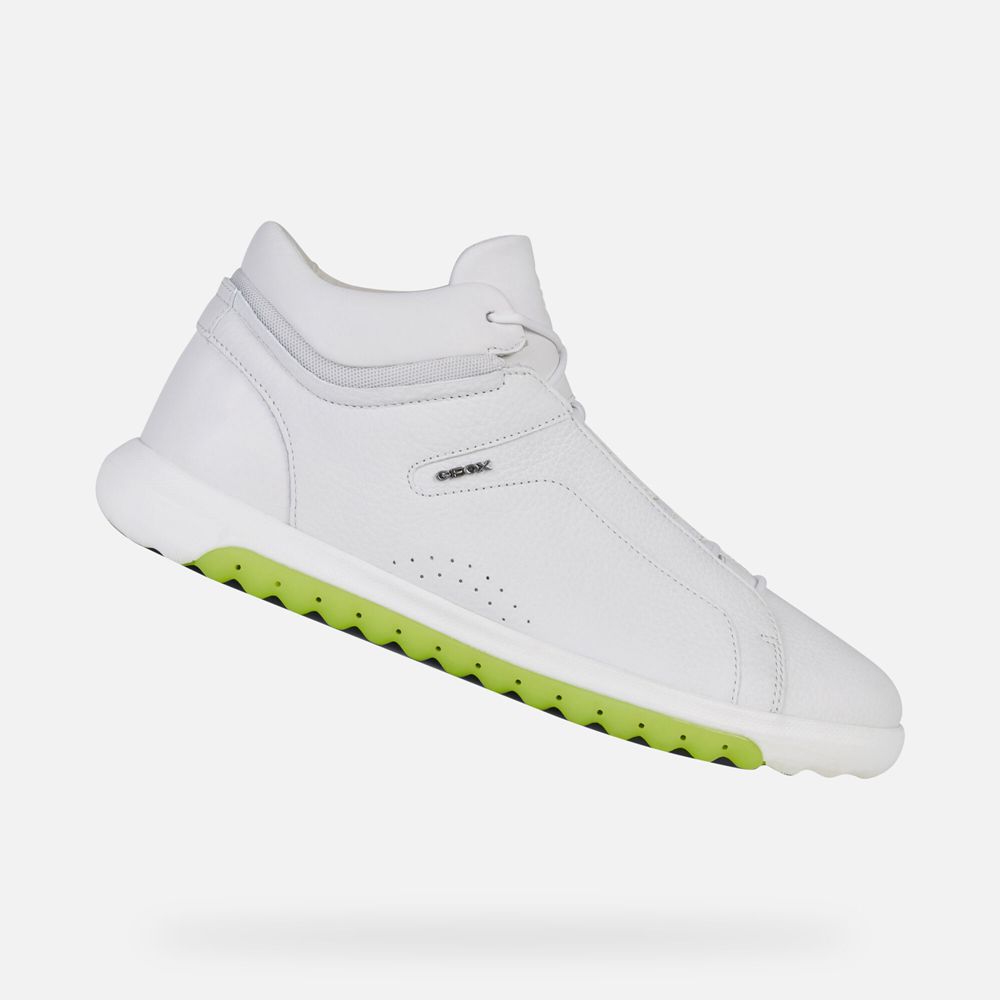 Geox Erkek Spor Ayakkabı Beyaz - Nexside - DPV-821576